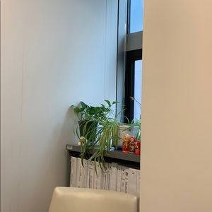 Meet your Posher, Aye aye